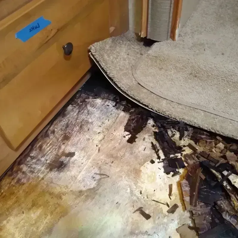 Wood Floor Water Damage in Duluth, MN